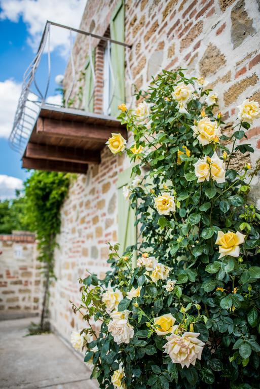 Rosemarino *